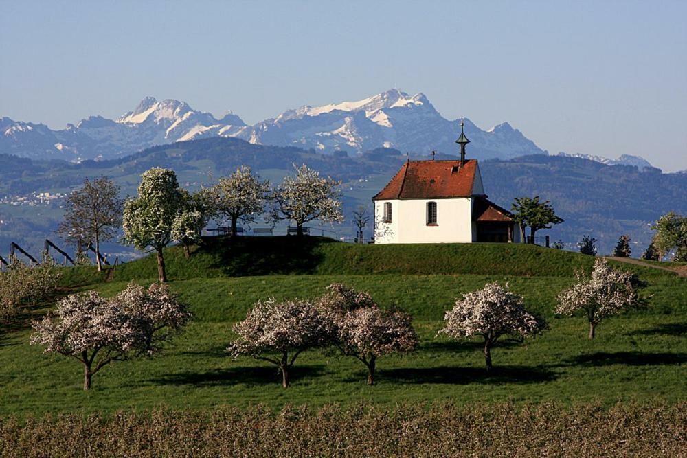 Zum Seglerhafen - Ferienappartement Kressbronn am Bodensee Exteriör bild
